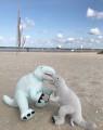 12640-img_9945.JPG